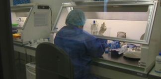 Affaire Gregory – L’ADN et l’espoir de vérité