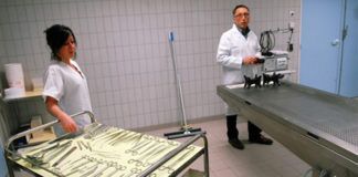 Affaire Grégory – L’autopsie