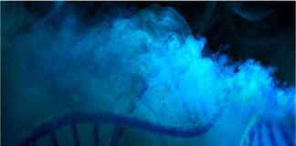 ADN – Présentation