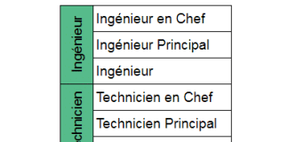 Quels sont les grades dans la police scientifique ?