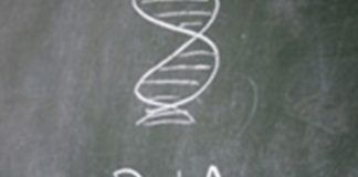 ADN – Identification