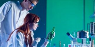 Les études spécifiques à l’étranger