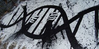 ADN – FNAEG ADN FNAEG Prison