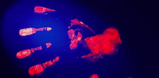 Diplômes universitaires de : Criminalistique et Analyse de documents